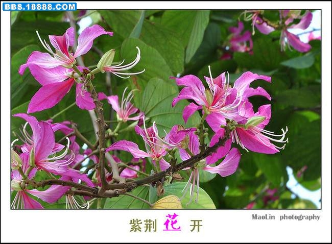 2011.5.3 018.jpg