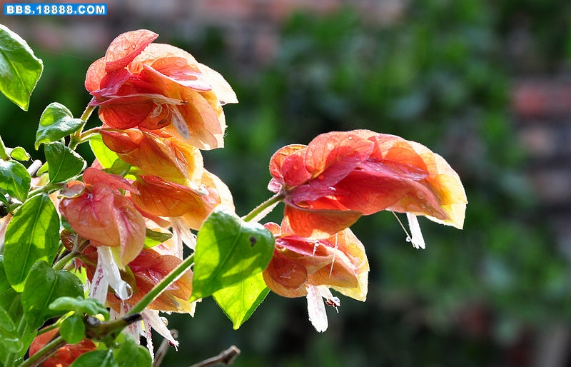2011.5.26 001.jpg