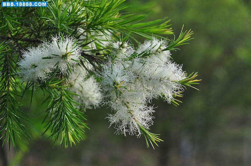 2011.5.17 029.jpg