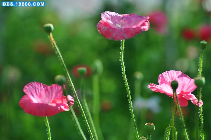 2011.5.5 077.jpg
