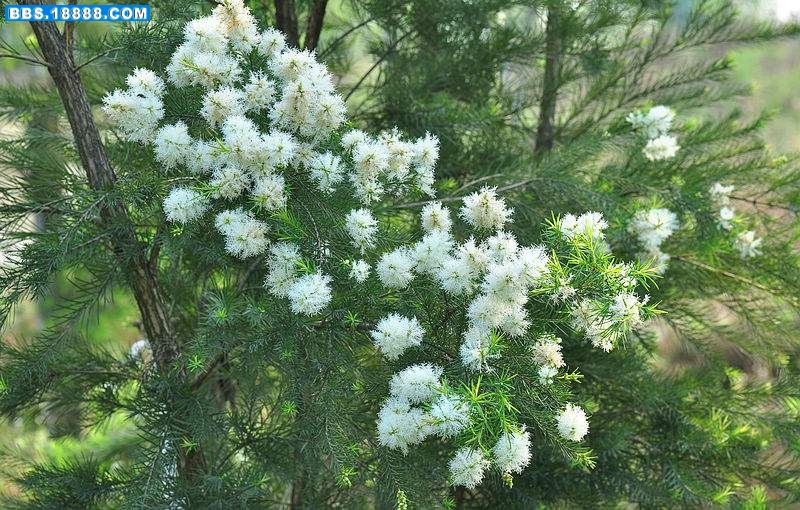 2011.5.17 024.jpg