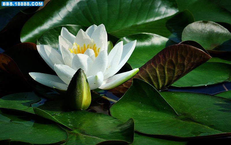 2011.5.12 020.jpg