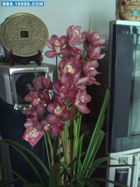 DSC04052.JPG