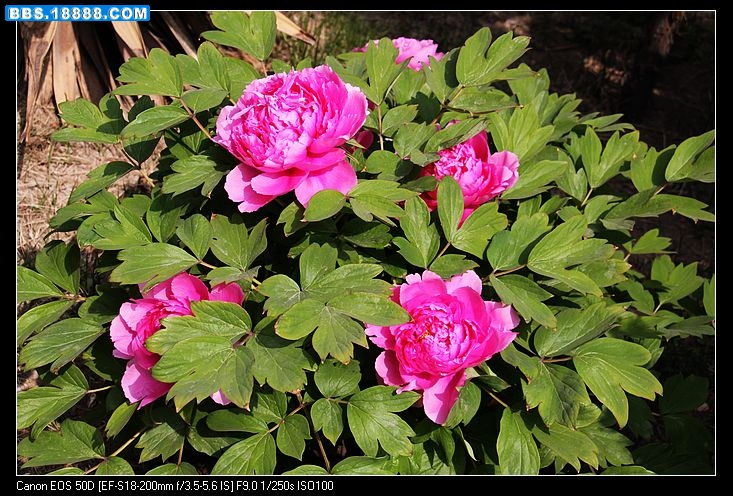 IMG_8683.jpg
