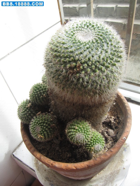 旋转 IMG_2658.jpg