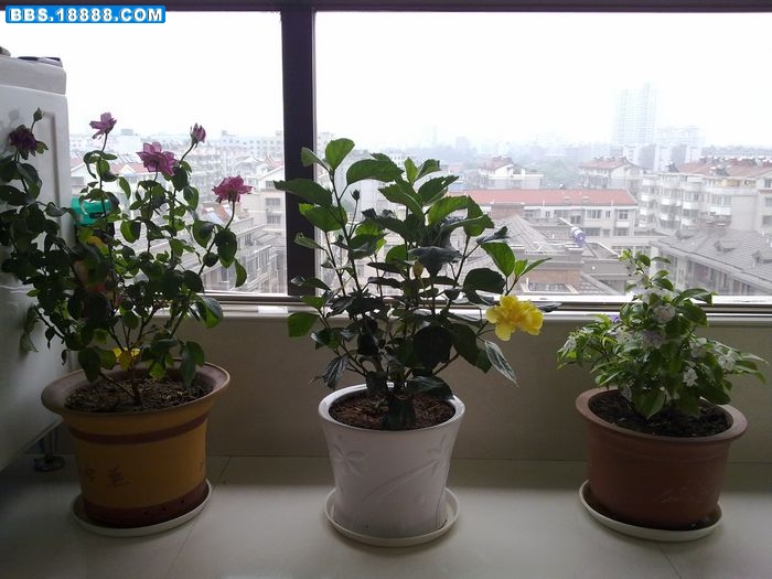 20110512234.jpg