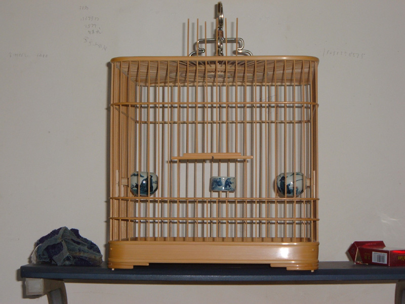 DSCF0928.JPG