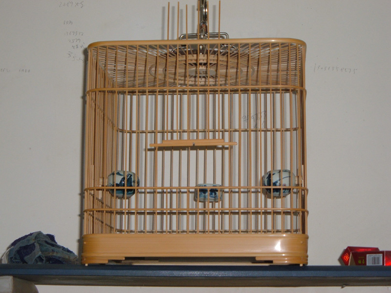 DSCF0929.JPG