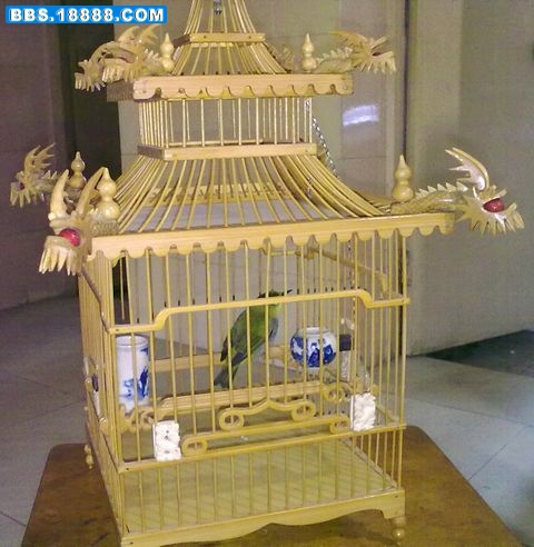 照片 225.jpg