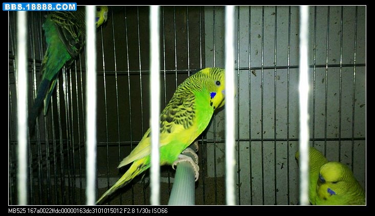 nEO_IMG_2011-05-28_15-44-55_896.jpg