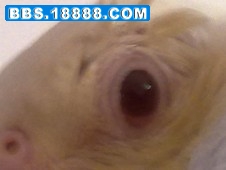 www.jpg