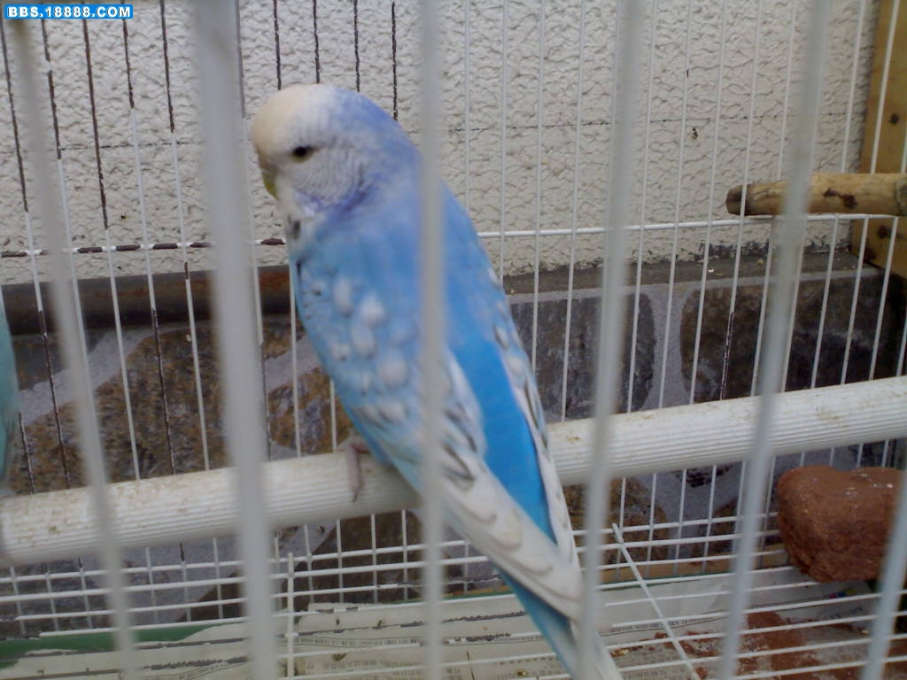 20110528710.jpg