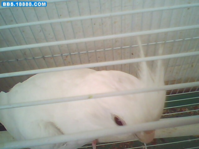 IMG1013A.jpg