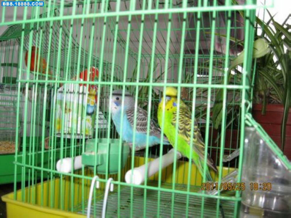 207.JPG
