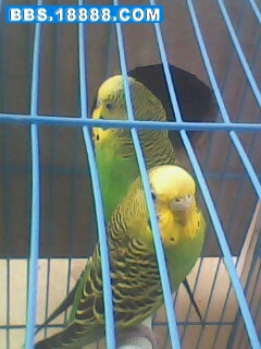 IMG0142A.jpg