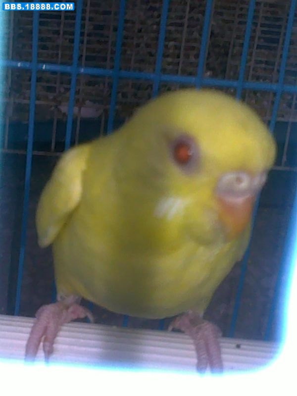20110509070.jpg