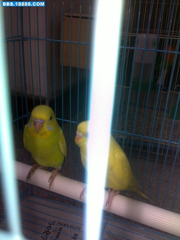 20110509067.jpg
