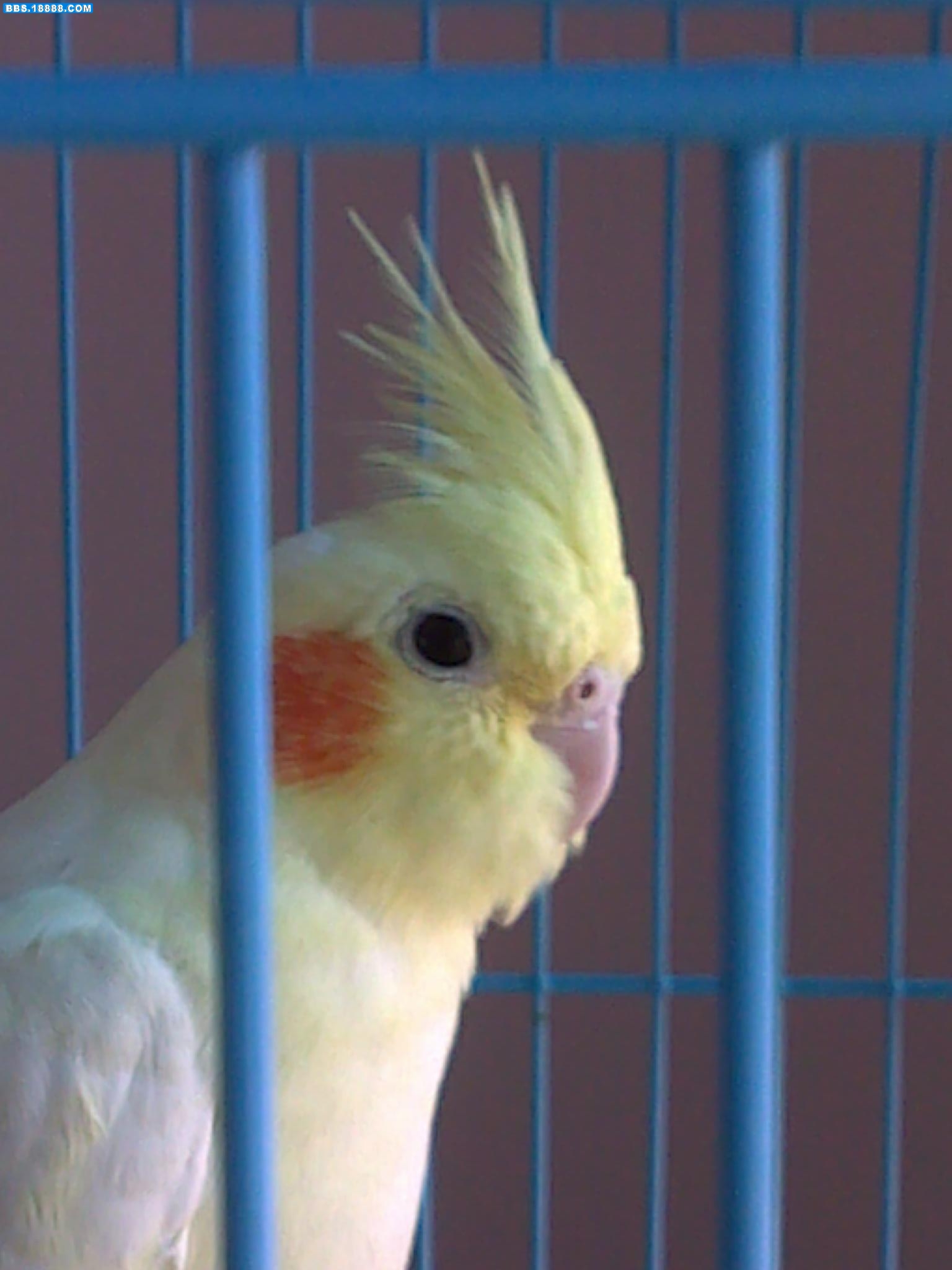 20110526164.jpg