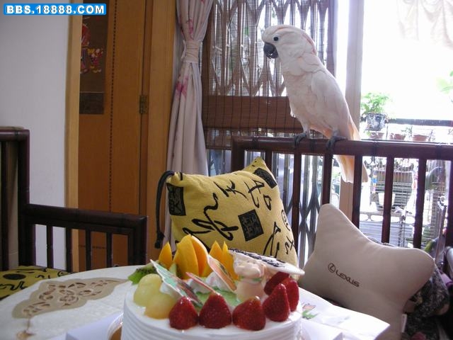DSCN5072.jpg
