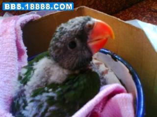 IMG0032A.jpg