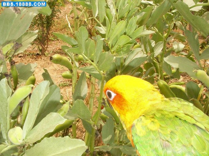 SANY0135.JPG