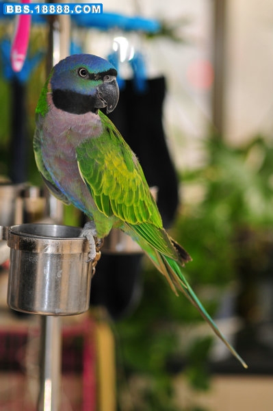 DSC_7377.jpg