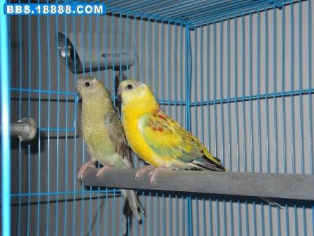 DSC07800_conew1.JPG