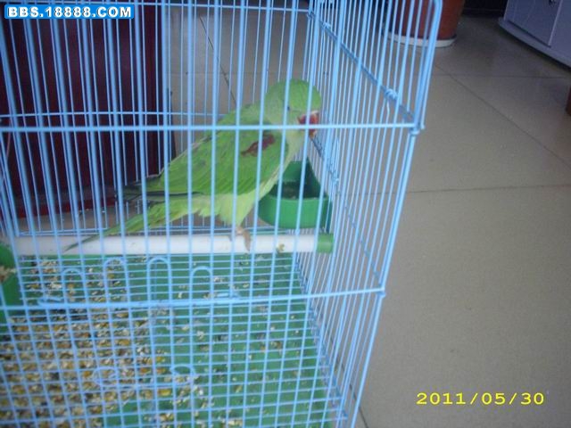 DSCI0415.JPG
