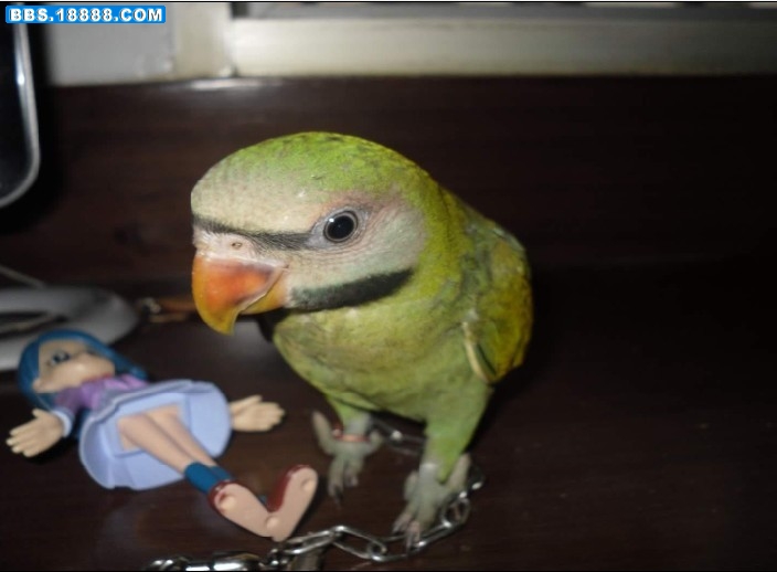 ３.jpg