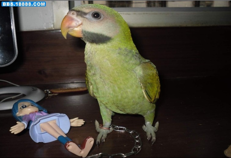 １.jpg
