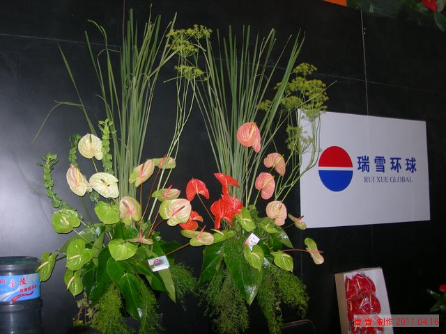 nEO_IMG_DSCN6114.jpg