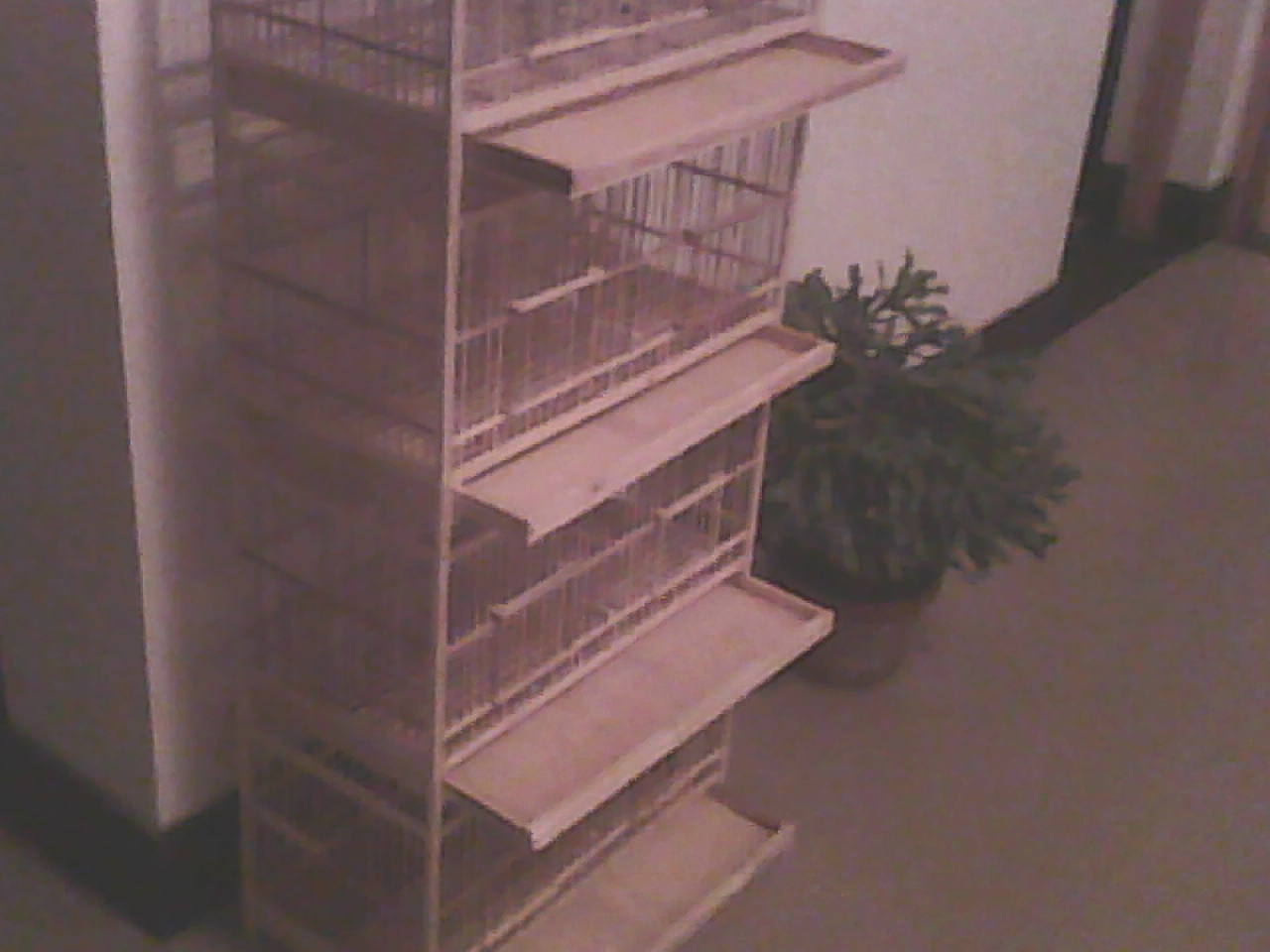 122_128756_ccabac78312e421.jpg