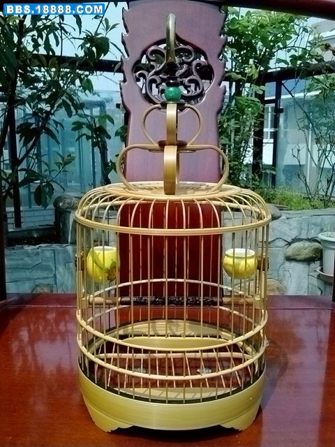 nEO_IMG_20110409297.jpg