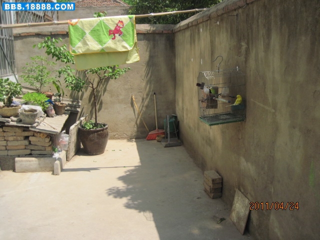 IMG_2346.jpg