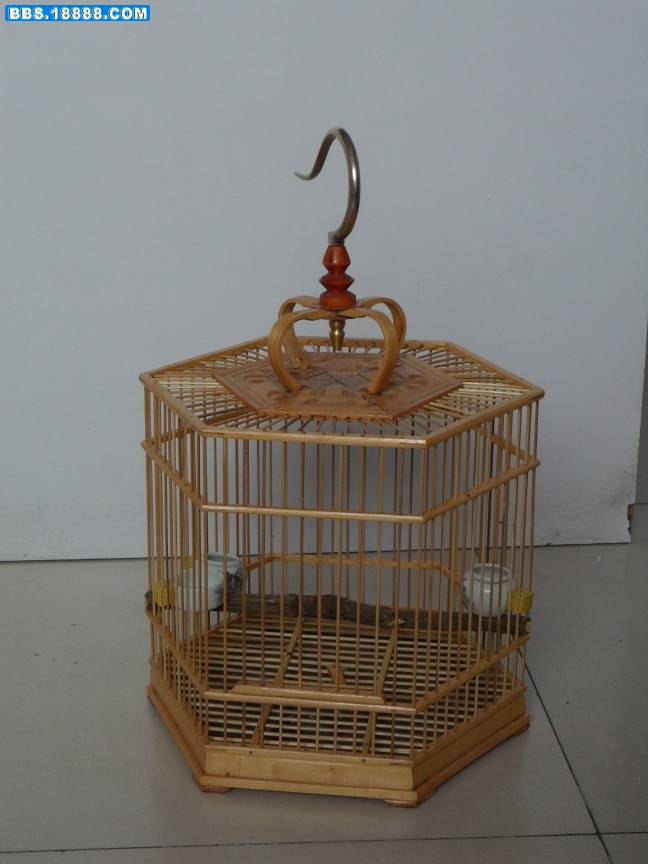 conew_sam_0024.jpg