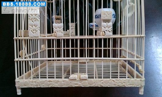 278_9011_fb3d234cab4a4e8.jpg