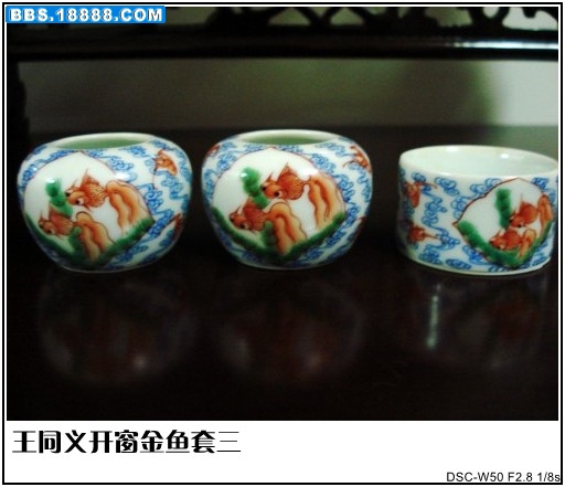 DSC02949_conew1.JPG