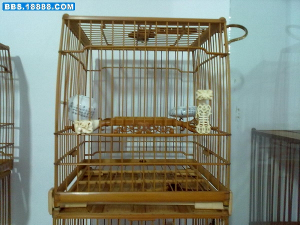 20110510196.jpg