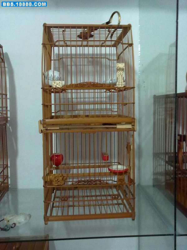20110510188.jpg