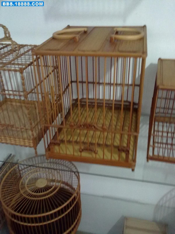 20110510202.jpg