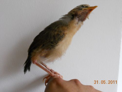 DSCN1833.jpg