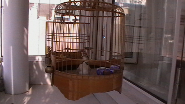 IMGA0334.JPG