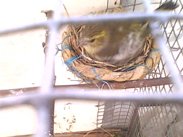 IMG0565A.jpg