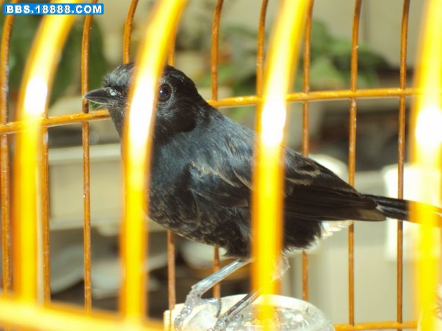DSC02112.JPG