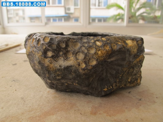 照片 043_缩小大小.jpg