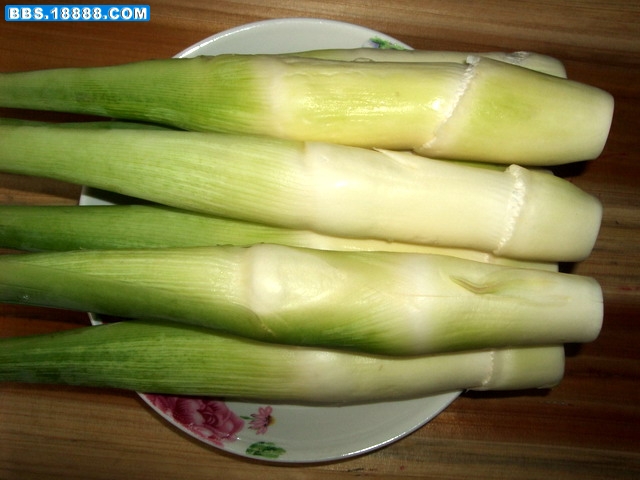 DSCF7126.jpg