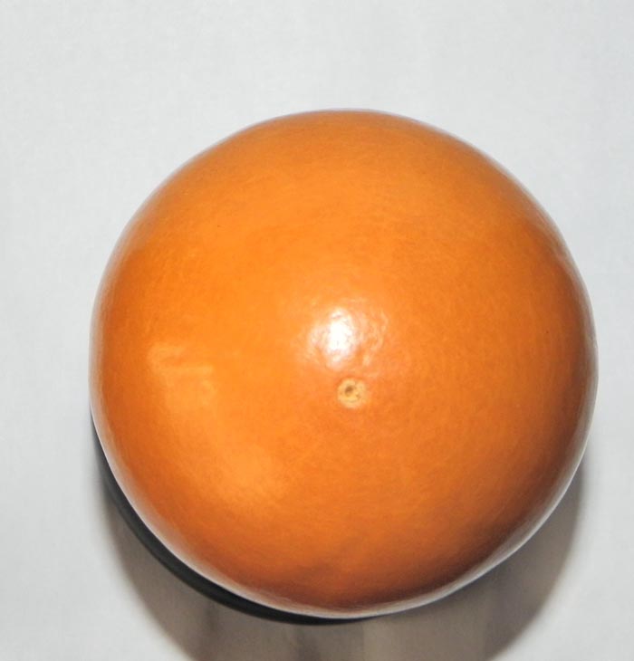 DSCN1170.jpg