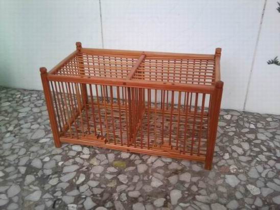 照片0020.jpg