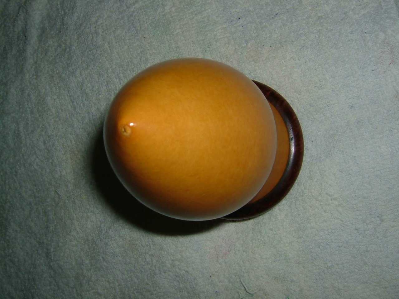 DSCF1793.JPG