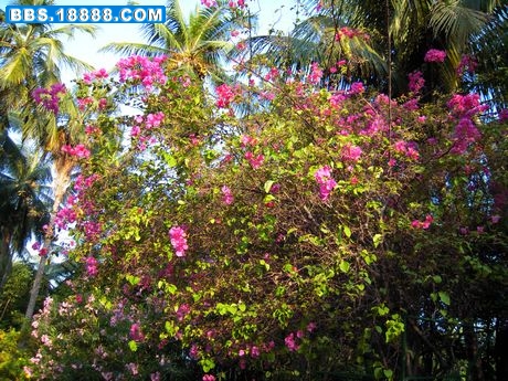 DSCN0368.JPG